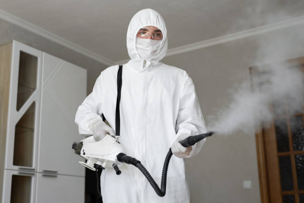 Trusted Cleveland, AL Mold Removal Experts